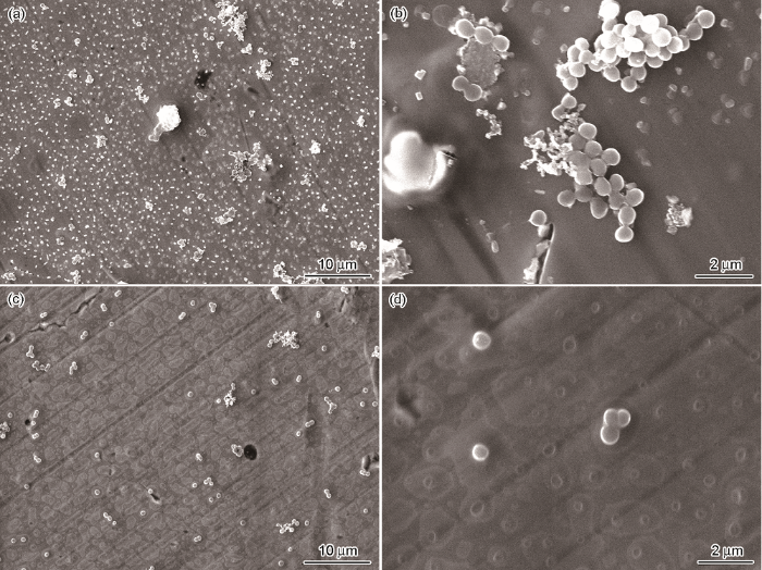 91FA9C3C-BA7A-45aa-86E8-5EABD609AB71-F005.png