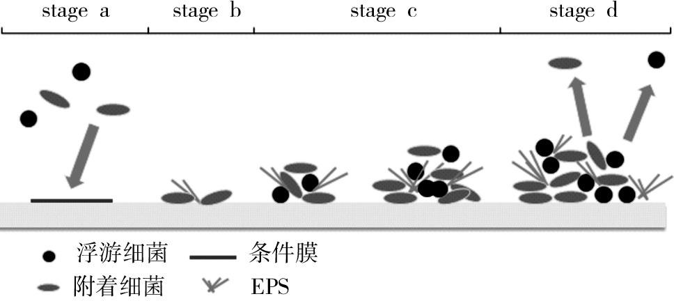 圖片1.jpg