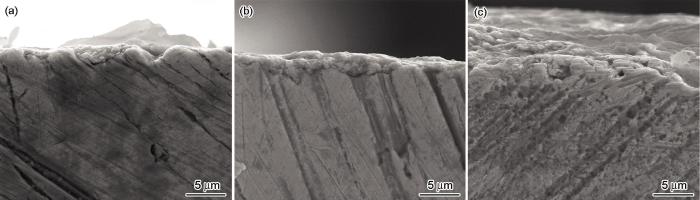 f4039c79-71df-44d1-96e0-5f4cb07b0b01-F005.jpg