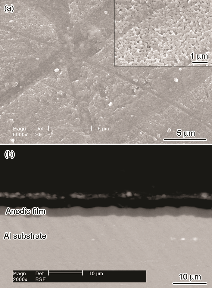 2c058d59-0866-462a-9e1b-35d0237df7cf-F011.png