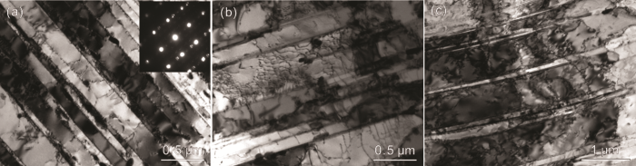 4247093c-b80b-4f80-ac86-d65bf6b14017-F006.png
