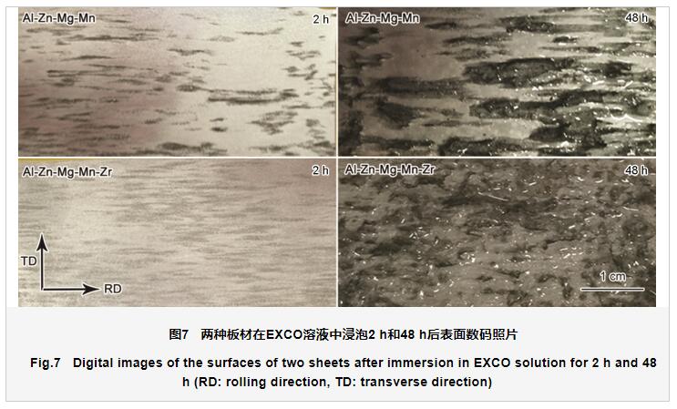 QQ截圖20210419133938.jpg