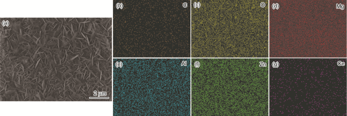 BD827DB7-B023-44bc-B0BB-866000F71149-F003.png