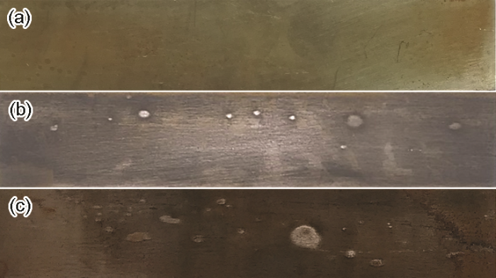 CB6F8D7B-D32A-4ac4-A46A-D9709D94F216-F009.png