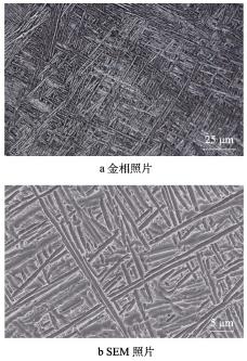 微信截圖_20220304154733.jpg