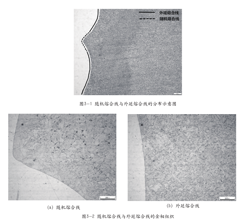 圖片13