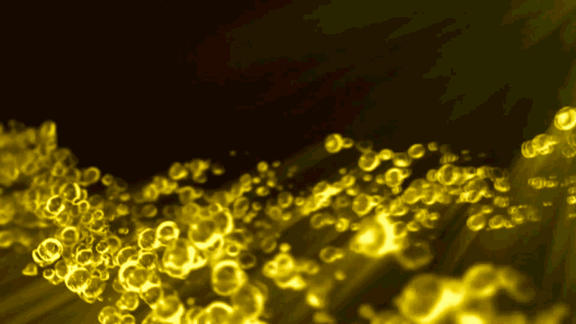 qin8.gif