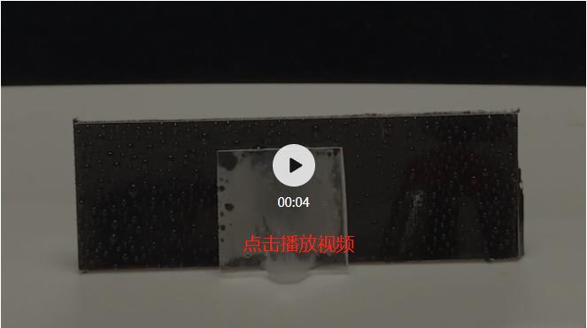 微信截圖_20210709111125.jpg