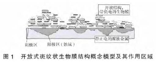 圖1.jpg
