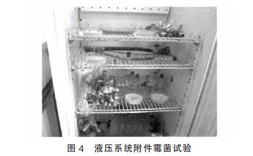 圖4.jpg