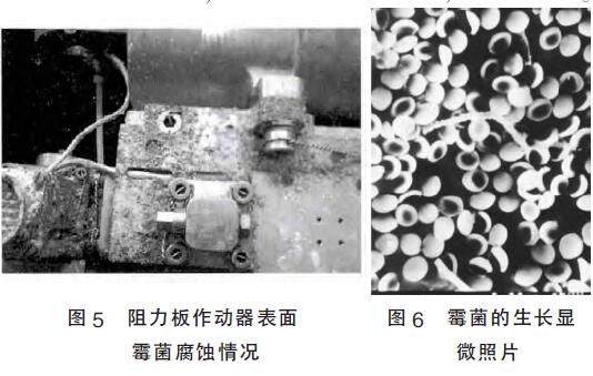 圖5-6.jpg