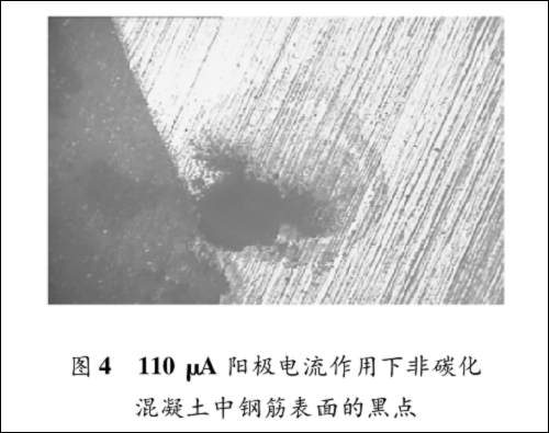 圖片7