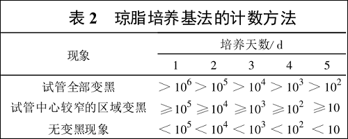 圖片18