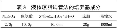 圖片19