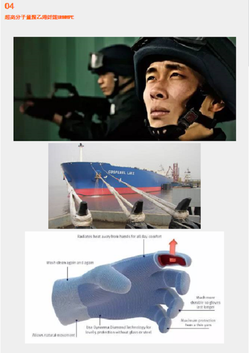 圖片8