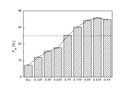 圖片17