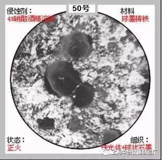 640?wx_fmt=jpeg&tp=webp&wxfrom=5&wx_lazy=1&wx_co=1.jpg