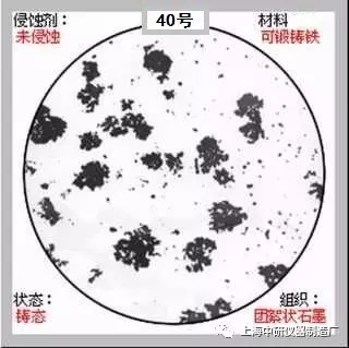 640?wx_fmt=jpeg&tp=webp&wxfrom=5&wx_lazy=1&wx_co=1.jpg