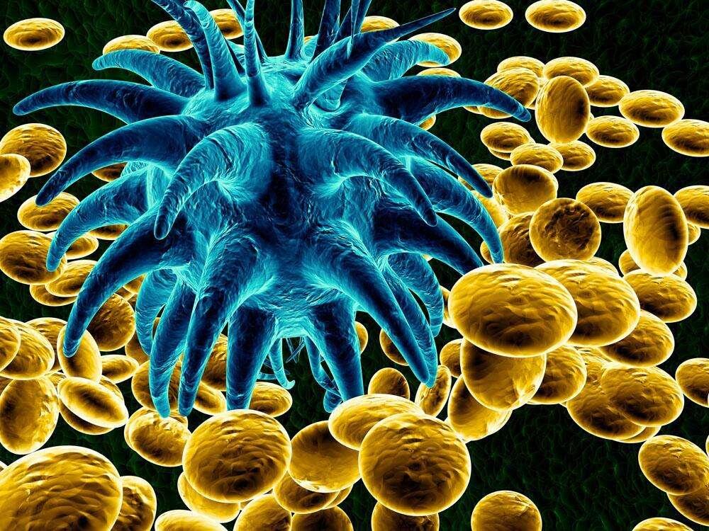 探秘生物污損與微生物腐蝕﹒打造裝備防護(hù)屏障